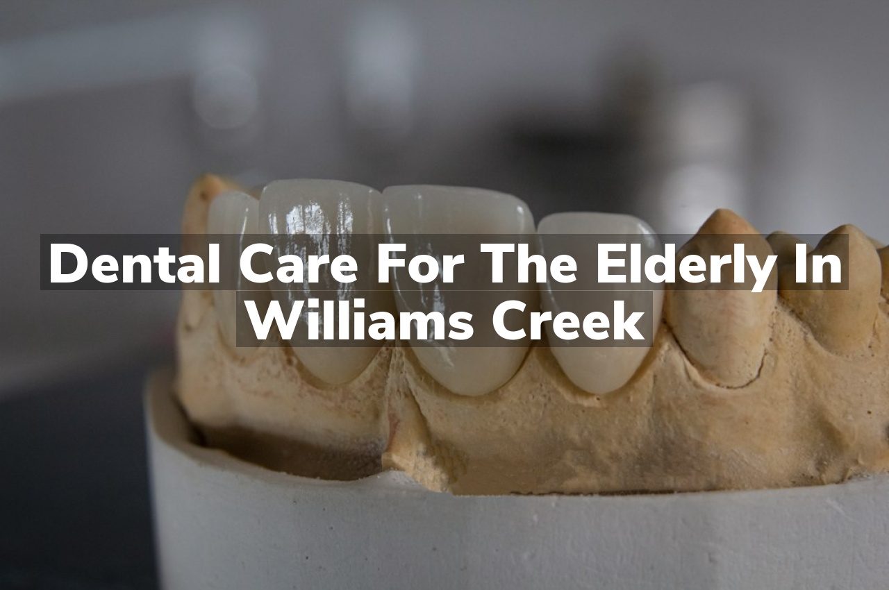 Dental Care for the Elderly in Williams Creek